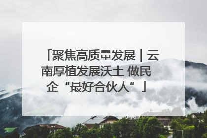 聚焦高质量发展｜云南厚植发展沃土 做民企“最好合伙人”