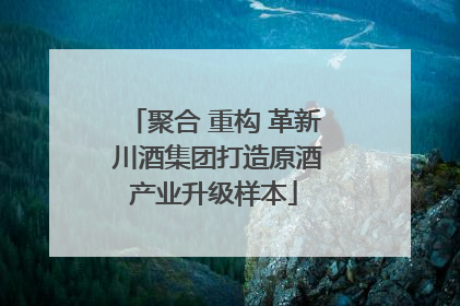 聚合 重构 革新 川酒集团打造原酒产业升级样本