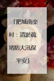 肥城南栾村：清淤疏堵防大汛保平安
