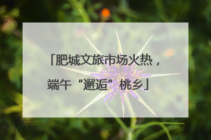肥城文旅市场火热，端午“邂逅”桃乡