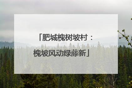 肥城槐树坡村：槐坡风动绿藤新