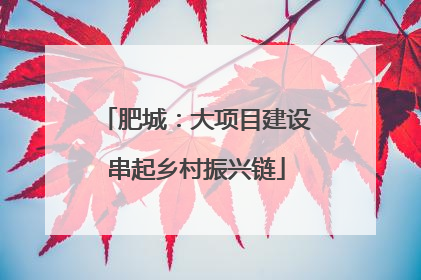 肥城：大项目建设串起乡村振兴链