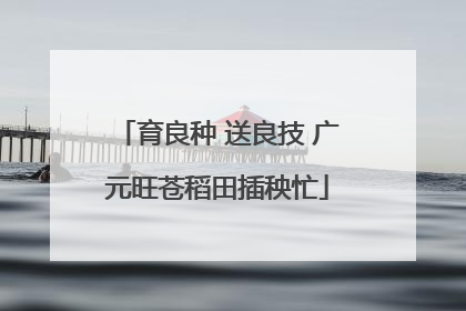 育良种 送良技 广元旺苍稻田插秧忙