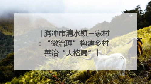 腾冲市清水镇三家村：“微治理”构建乡村善治“大格局”