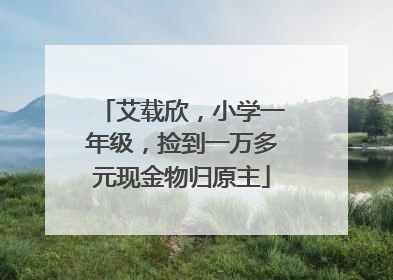 艾载欣，小学一年级，捡到一万多元现金物归原主