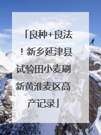 良种+良法！新乡延津县试验田小麦刷新黄淮麦区高产记录