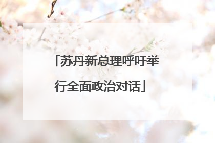 苏丹新总理呼吁举行全面政治对话