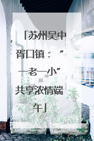 苏州吴中胥口镇：“一老一小”共享浓情端午