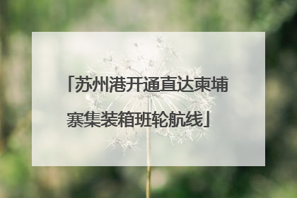 苏州港开通直达柬埔寨集装箱班轮航线