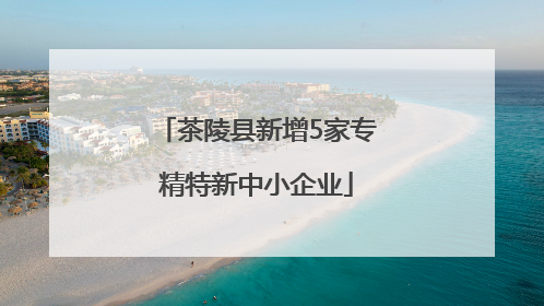 茶陵县新增5家专精特新中小企业