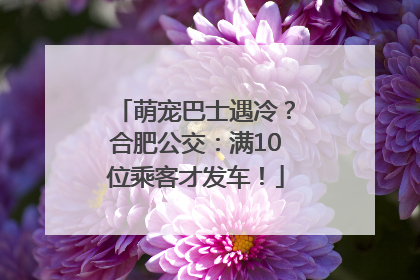 萌宠巴士遇冷？合肥公交：满10位乘客才发车！