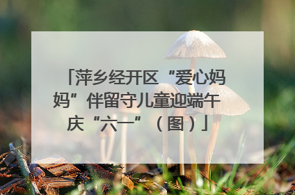萍乡经开区“爱心妈妈”伴留守儿童迎端午庆“六一”（图）