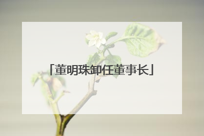 董明珠卸任董事长