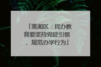 蒸湘区：民办教育要坚持党建引领、规范办学行为