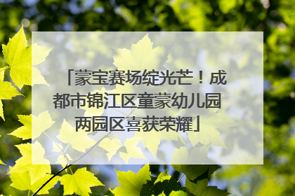 蒙宝赛场绽光芒！成都市锦江区童蒙幼儿园两园区喜获荣耀