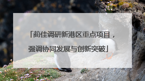 蔺佳调研新港区重点项目，强调协同发展与创新突破