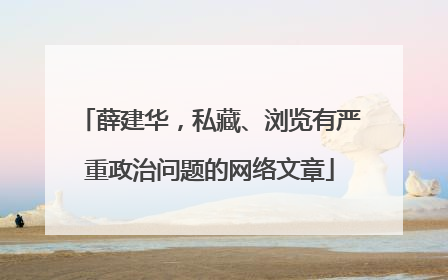 薛建华，私藏、浏览有严重政治问题的网络文章