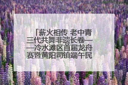 薪火相传 老中青三代共舞非遗长卷——冷水滩区首届龙舟赛暨黄阳司镇端午民俗文化活动侧记