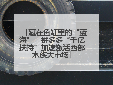 藏在鱼缸里的“蓝海”：拼多多“千亿扶持”加速激活西部水族大市场