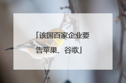 该国百家企业要告苹果、谷歌