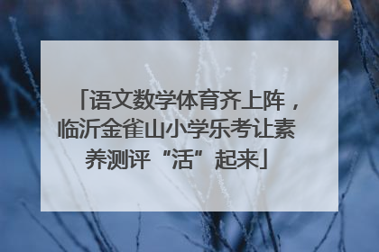 语文数学体育齐上阵，临沂金雀山小学乐考让素养测评“活”起来