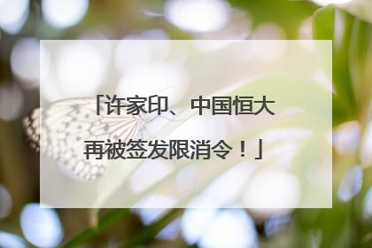 许家印、中国恒大再被签发限消令！
