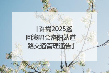 许嵩2025巡回演唱会洛阳站道路交通管理通告