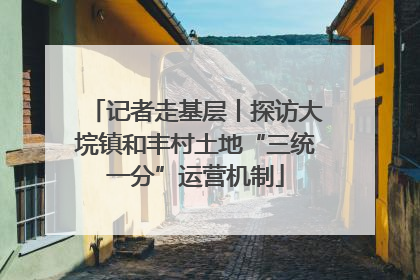 记者走基层丨探访大垸镇和丰村土地“三统一分”运营机制