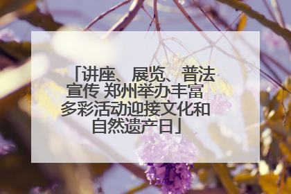 讲座、展览、普法宣传 郑州举办丰富多彩活动迎接文化和自然遗产日