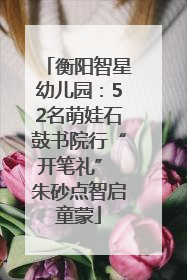 衡阳智星幼儿园：52名萌娃石鼓书院行“开笔礼” 朱砂点智启童蒙