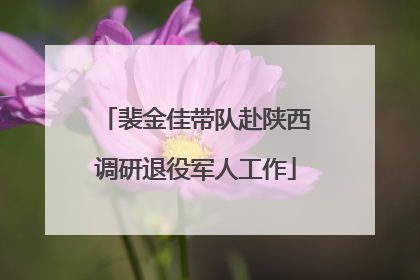 裴金佳带队赴陕西调研退役军人工作