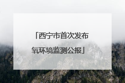 西宁市首次发布氧环境监测公报