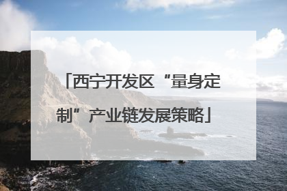 西宁开发区“量身定制”产业链发展策略