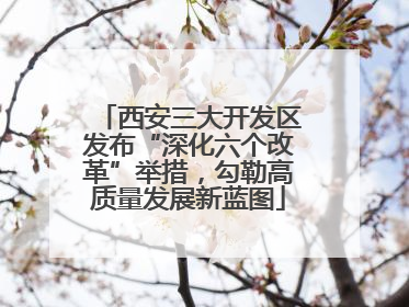 西安三大开发区发布“深化六个改革”举措，勾勒高质量发展新蓝图