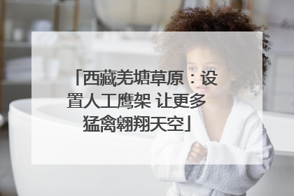 西藏羌塘草原：设置人工鹰架 让更多猛禽翱翔天空