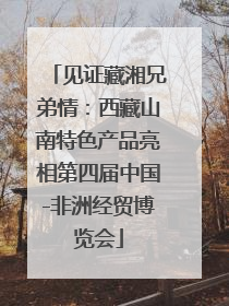 见证藏湘兄弟情：西藏山南特色产品亮相第四届中国-非洲经贸博览会