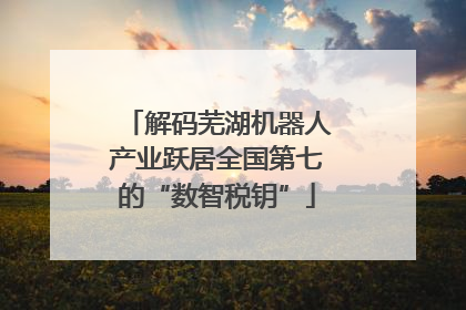 解码芜湖机器人产业跃居全国第七的“数智税钥”