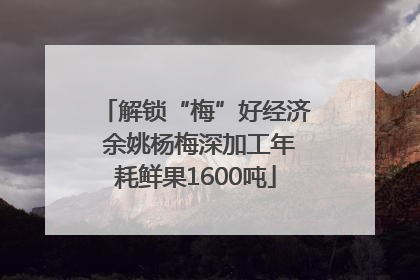 解锁“梅”好经济 余姚杨梅深加工年耗鲜果1600吨