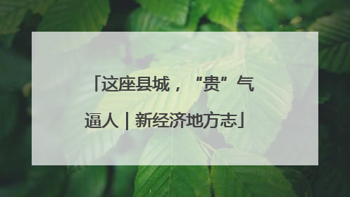 这座县城，“贵”气逼人｜新经济地方志