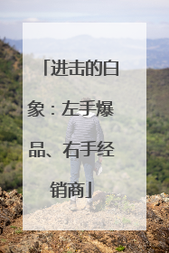 进击的白象：左手爆品、右手经销商