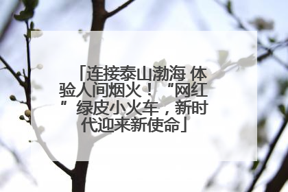 连接泰山渤海 体验人间烟火！“网红”绿皮小火车，新时代迎来新使命