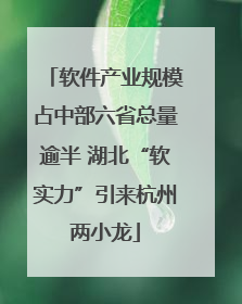软件产业规模占中部六省总量逾半 湖北“软实力”引来杭州两小龙