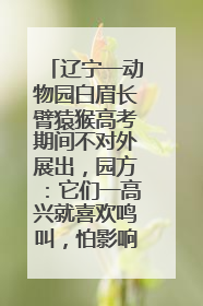 辽宁一动物园白眉长臂猿猴高考期间不对外展出，园方：它们一高兴就喜欢鸣叫，怕影响考试