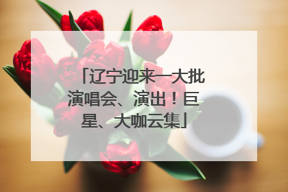辽宁迎来一大批演唱会、演出！巨星、大咖云集