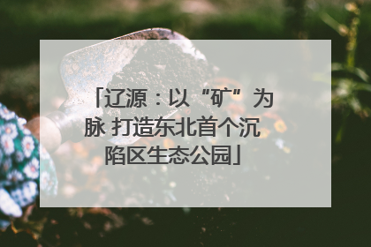 辽源：以“矿”为脉 打造东北首个沉陷区生态公园