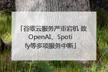 谷歌云服务严重宕机 致OpenAI、Spotify等多项服务中断