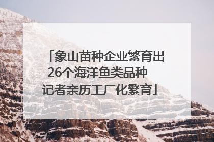 象山苗种企业繁育出26个海洋鱼类品种 记者亲历工厂化繁育