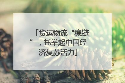 货运物流“稳链”，托举起中国经济复苏活力