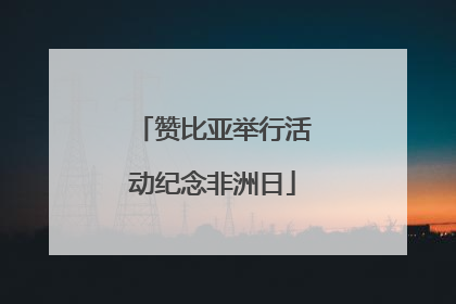 赞比亚举行活动纪念非洲日