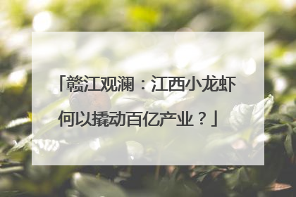 赣江观澜：江西小龙虾何以撬动百亿产业？